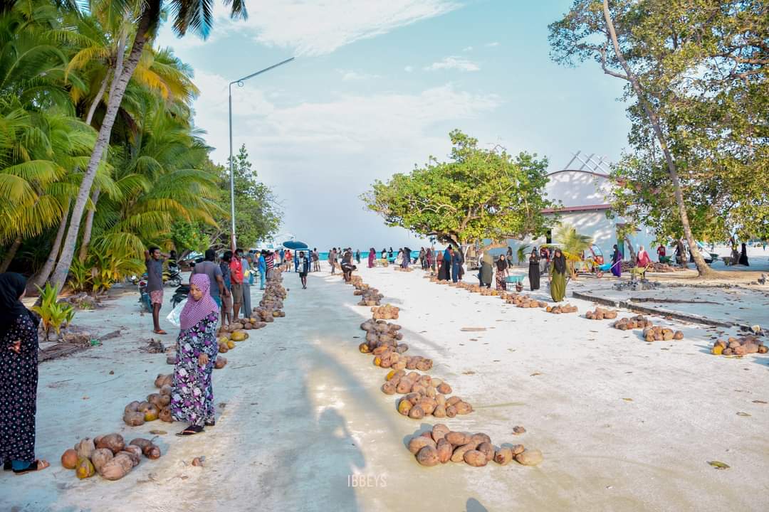 ފޮޓޯ: ވާދޫ ރައްޔިތުން ރޯދައަށް ކާށިހޮވުން؛ ތަރުތީބު ނަމޫނާ ހަރަކާތެއް